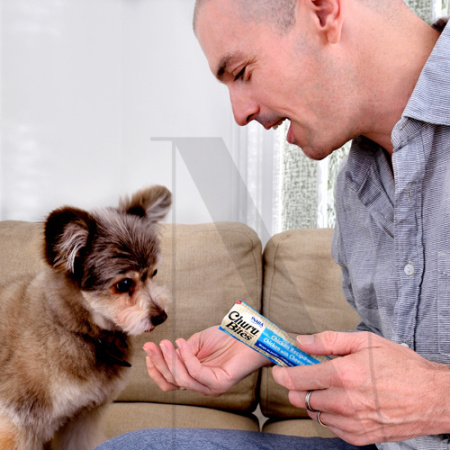 dog_bites_lifestyle_1