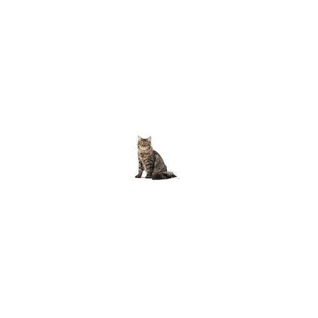 fcn22-urinary-care-dry-siberian-facing-emblematic-picture-b1