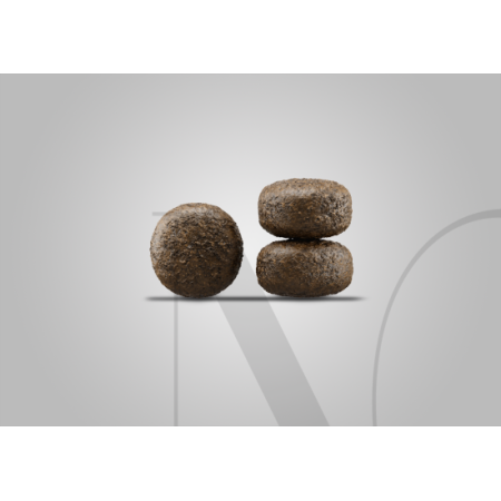 jos_krokette_lammreis_hintergrund