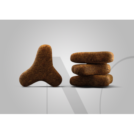 jos_krokette_sensicat_hintergrund