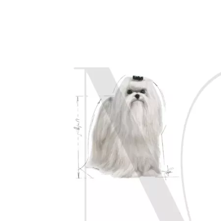 malt-ad-illustr-facing-bhn17