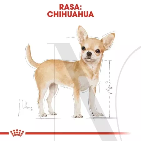 rc-bhn-wet-chihuahua-cv-eretailkit-1-pl-pl