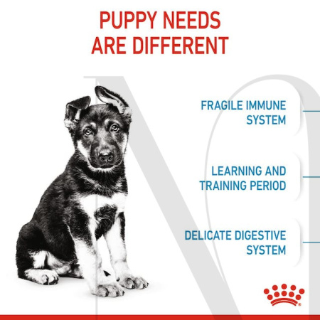 sol-hero-image-maxi-puppy-dry-b1-cv2