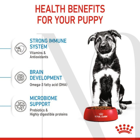 sol-hero-image-maxi-puppy-dry-b1-cv3