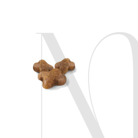 sol-kitten-dry-kibble-b1_1120389204