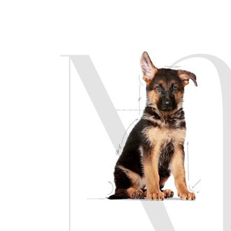 sol-maxi-puppy-dry-emblematic-b1
